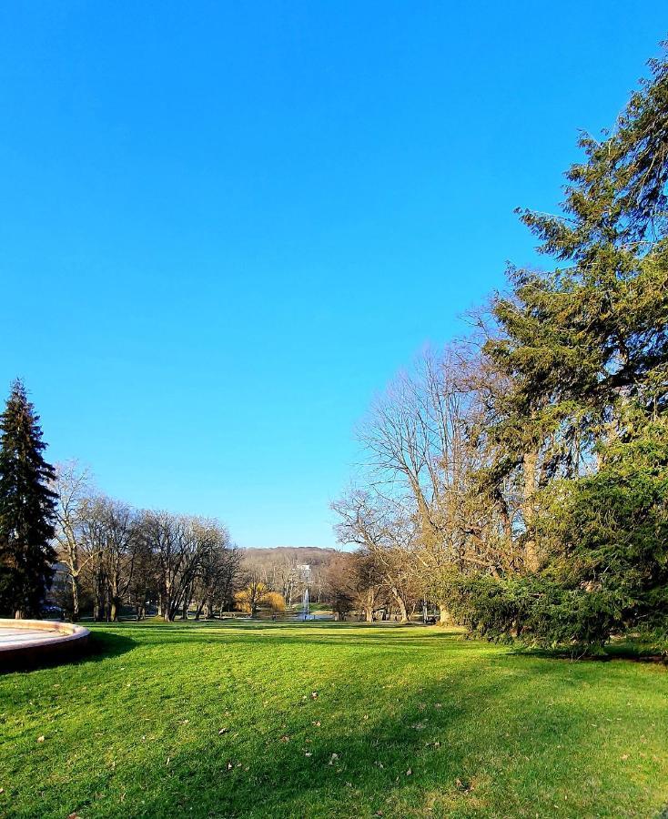 Apartamento Privat Zimmer In Bad Homburg Bei Kurhaus Bad Homburg vor der Höhe Exterior foto